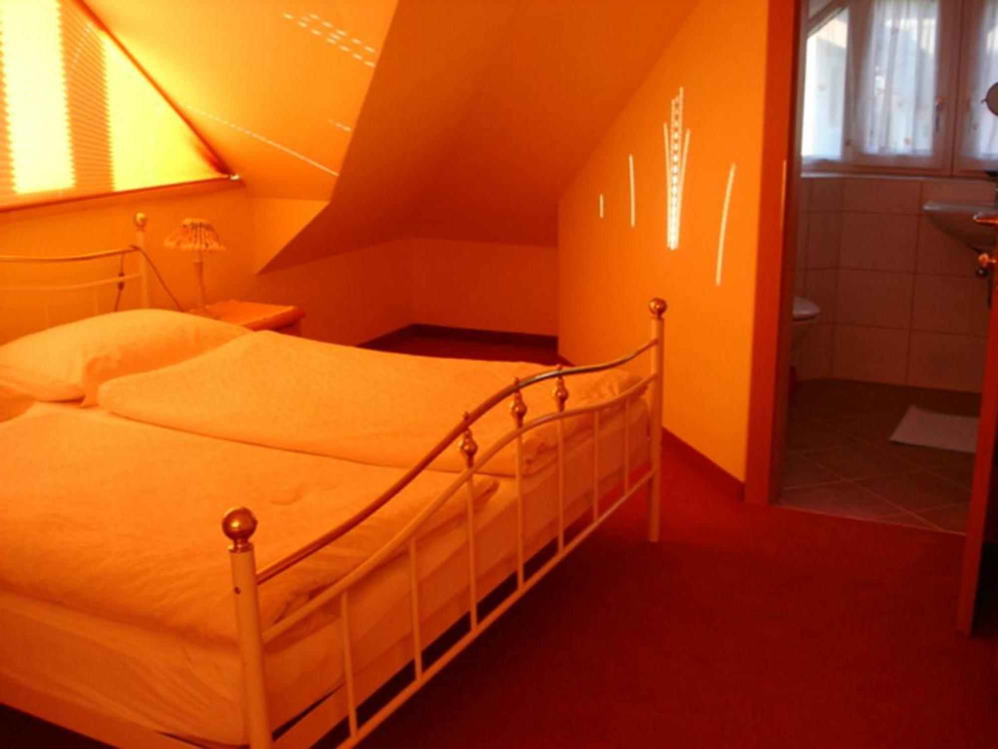 Appartements Ferienwohnungen Alpenblick 파이스테나우 객실 사진